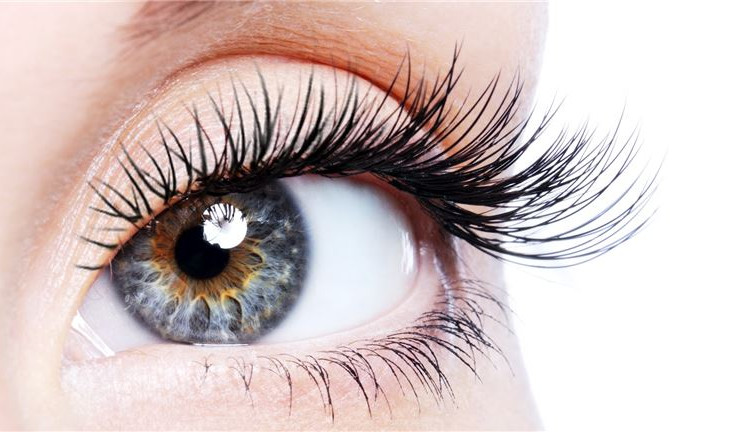 Reduced Price! LASH LOUNGE Franchise with additional territories