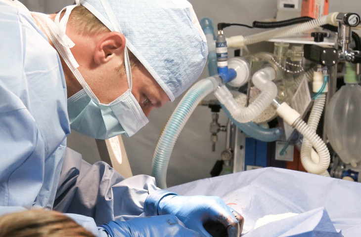Veterinary Hospital Veterinary Hospital