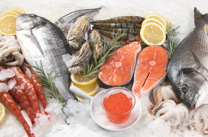Profitable Wholesale Fish and Seafood Distribution Business