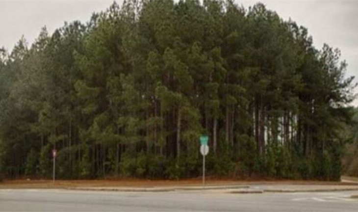 GDOT will pay money for expanding the road! 2.72 Acre Commercial Lot for Gas Station & Fast Food in McDonough, GA!